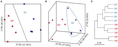 Comparison of growth performance, non-specific immunity, and intestinal microbiota of olive flounder (Paralichthys olivaceus) fed with extruded pellet and moist pellet diets under field conditions in South Korea